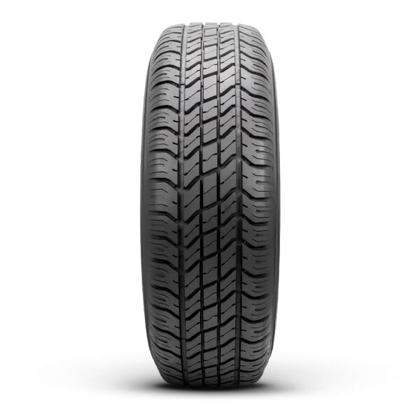 Pirelli 225/65R17 102H Formula S/T - Imagen 2